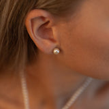 Cercei stud din aur 14K cu perle de cultură champagne 7–7,5 mm