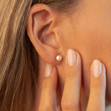 Cercei stud din aur 14K cu perle de cultură albe 5.5–6 mm