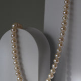 Colier Choker cu perle de cultura champagne 5.5–6 mm din aur 14K Aura