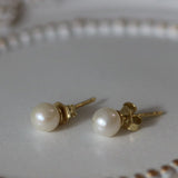 Cercei stud din aur 14K cu perle de cultură albe 5.5–6 mm