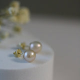 Cercei stud din aur 14K cu perle de cultură champagne 7–7,5 mm