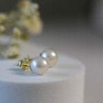 Cercei stud cu perle naturale de cultură albe, prezentare produs